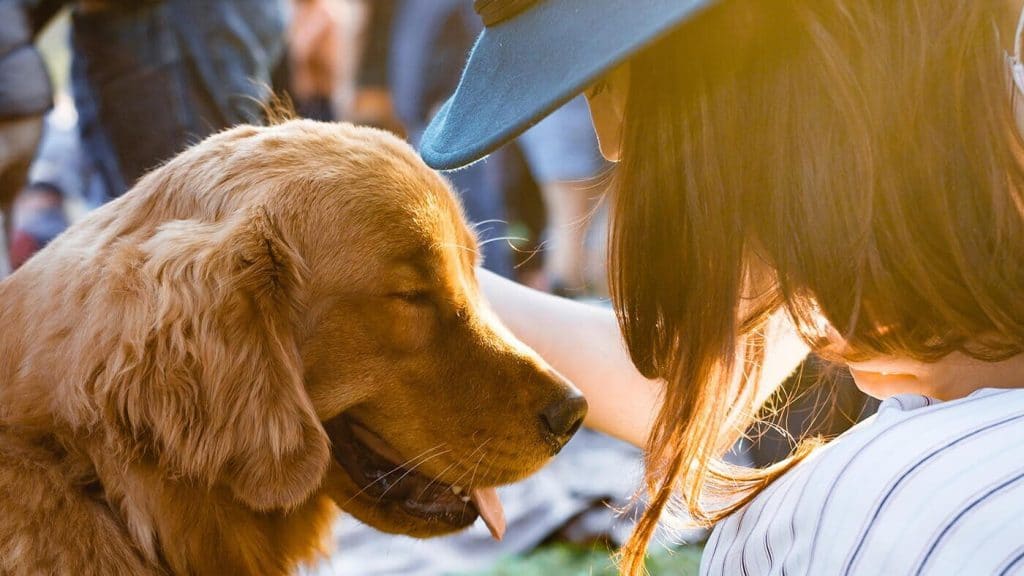 A woman petting a golden retriever at a park.