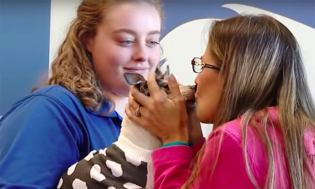 A woman kisses her lost dog in front of a group of people during their reunion.