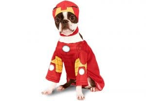 A dog in a perfect Iron Man costume.