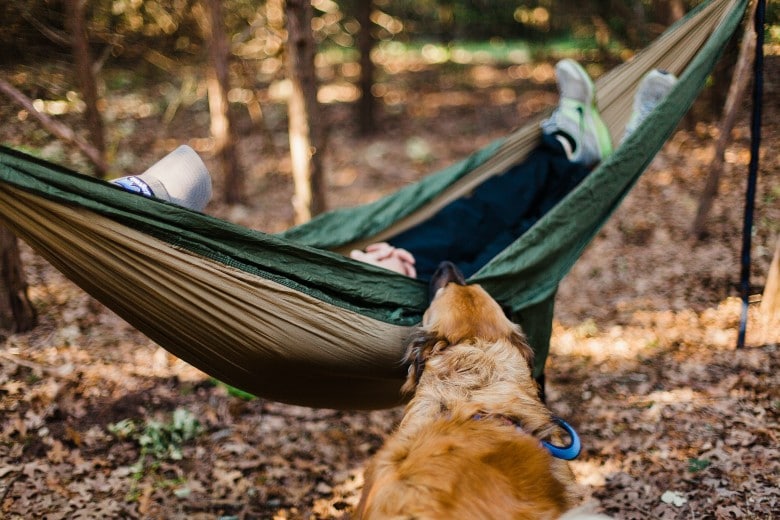 Dog Camping