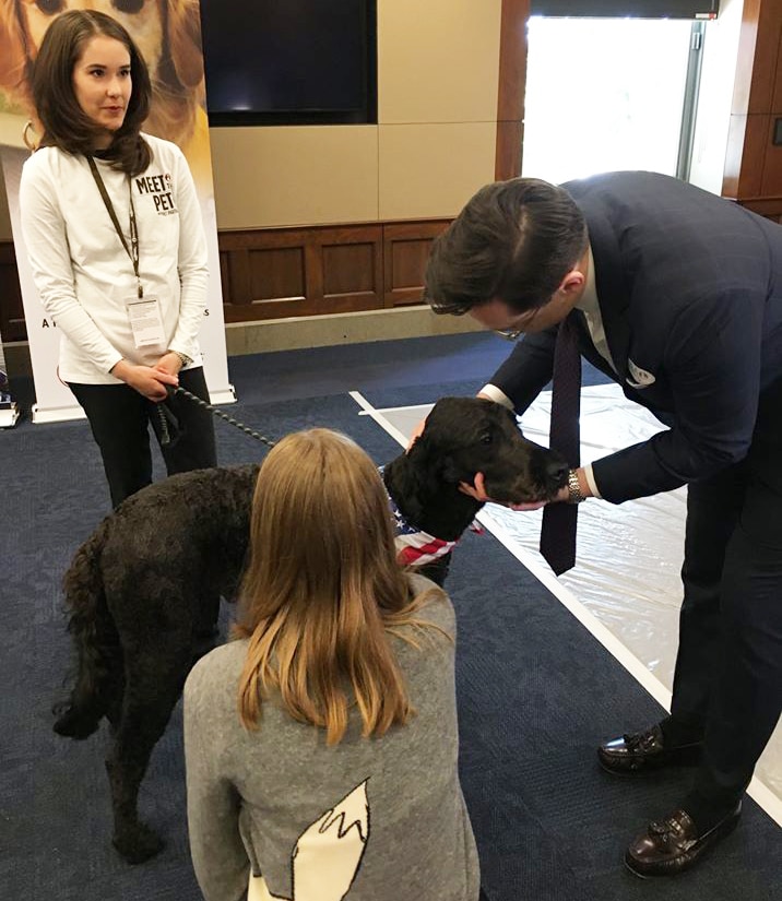 Dogs at Impeachment Hearing Pet Partners 1