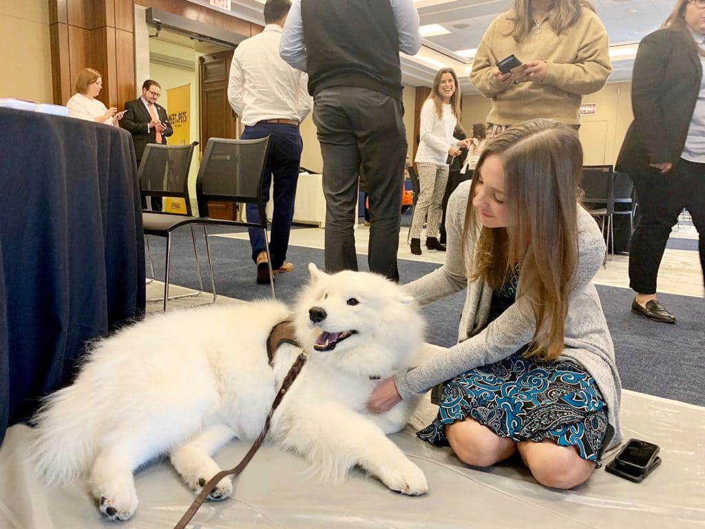 Dogs Comfort Lawmakers During Impeachment Hearings