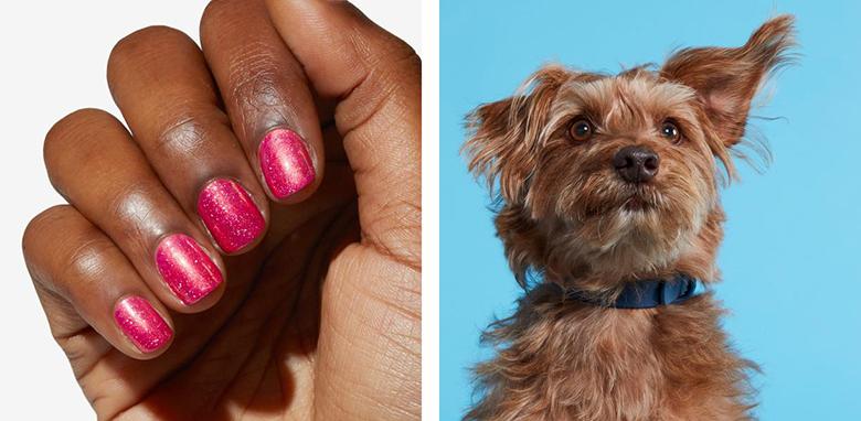 A dog with a pink nail polish from an Inspired Nail Polish Collection and a person with a matching pink nail polish, both supporting Rescue Dogs.