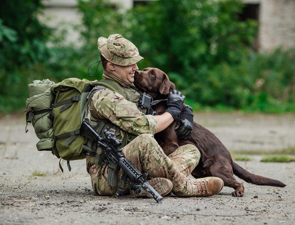 A hero veteran dog and a soldier sitting on the ground.