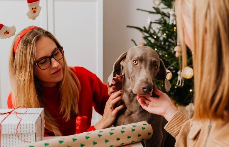 Dog Christmas Wrapping Paper