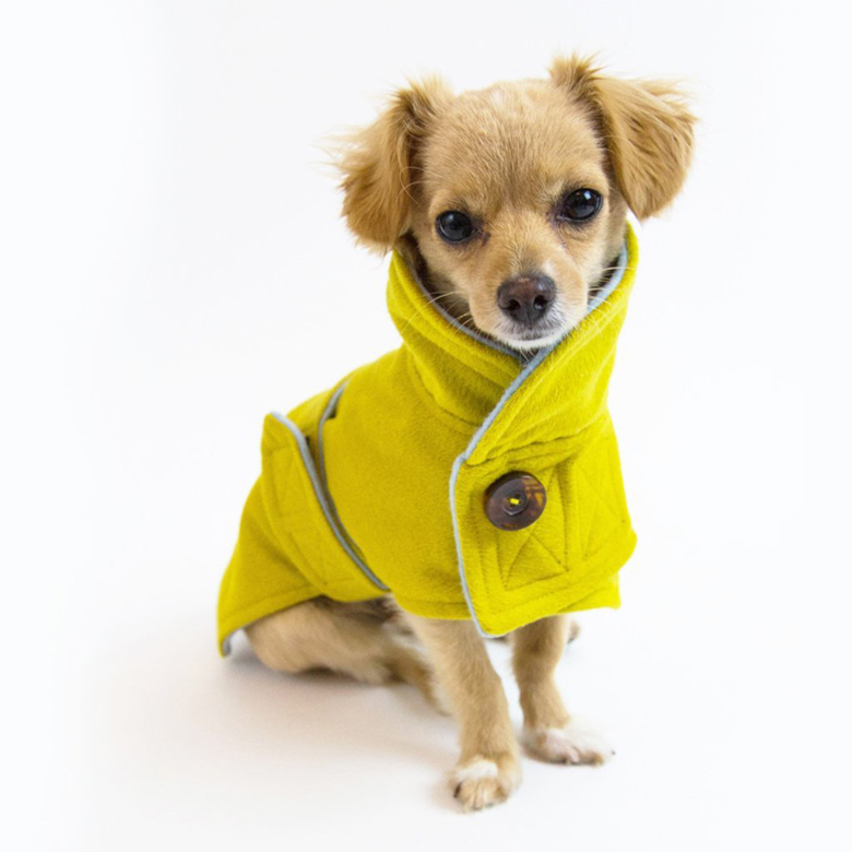 Pawtton Joy Designer Dog Winter Jacket