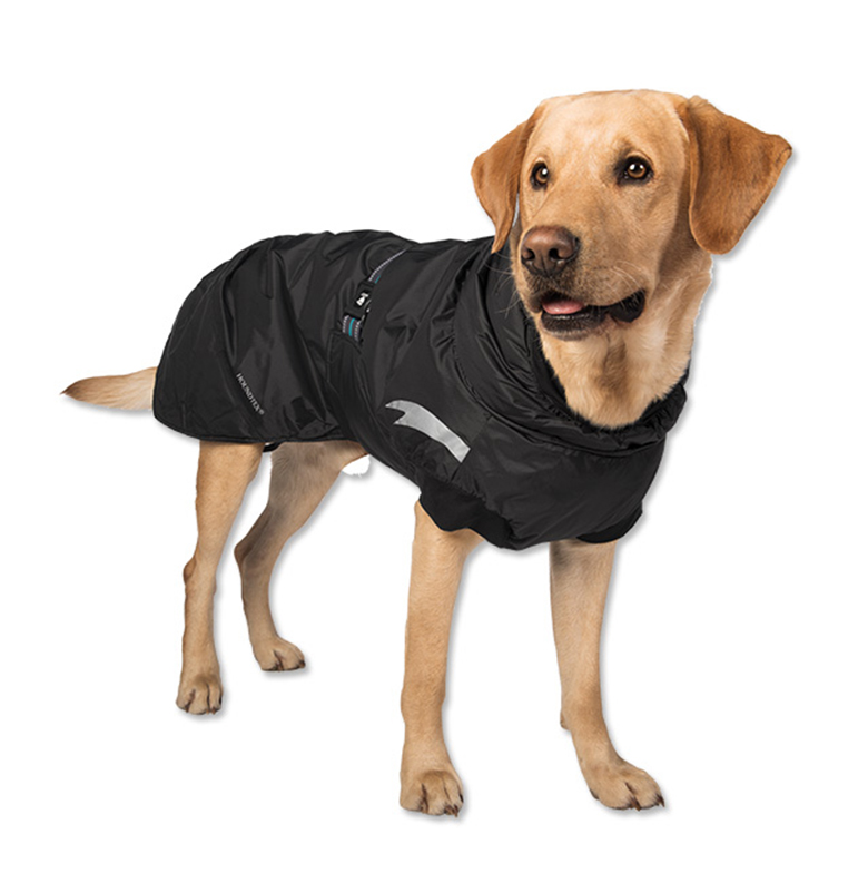 Orvis dog jacket This Dogs Life
