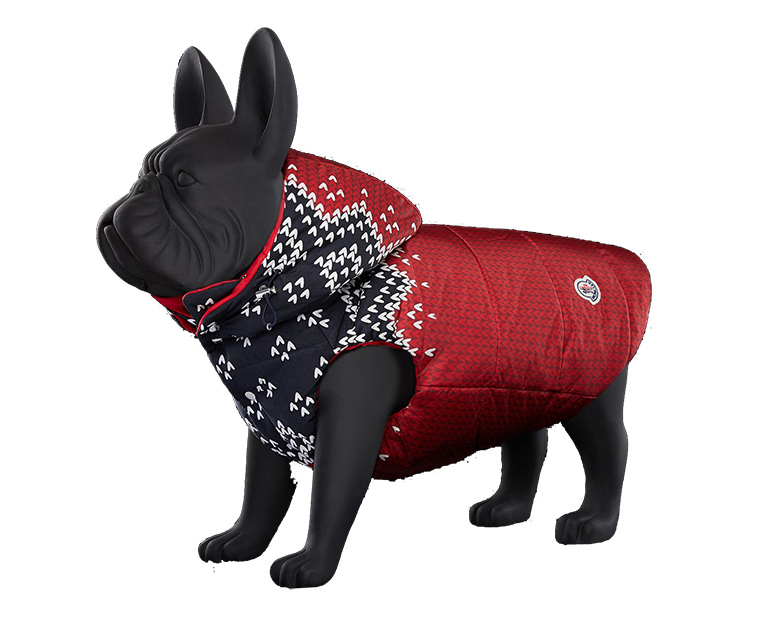 Pawtton Joy Designer Dog Winter Jacket