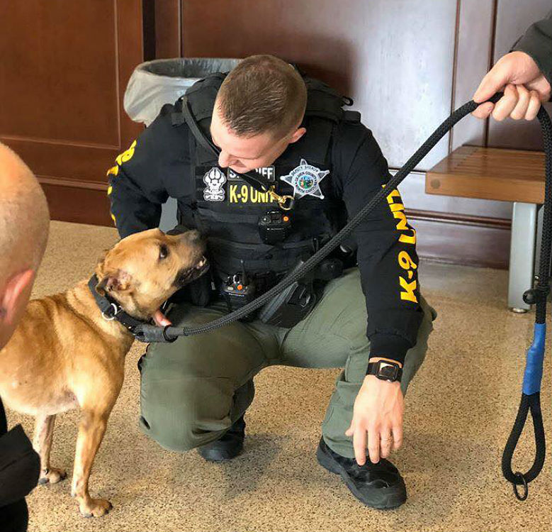 dog and police officer