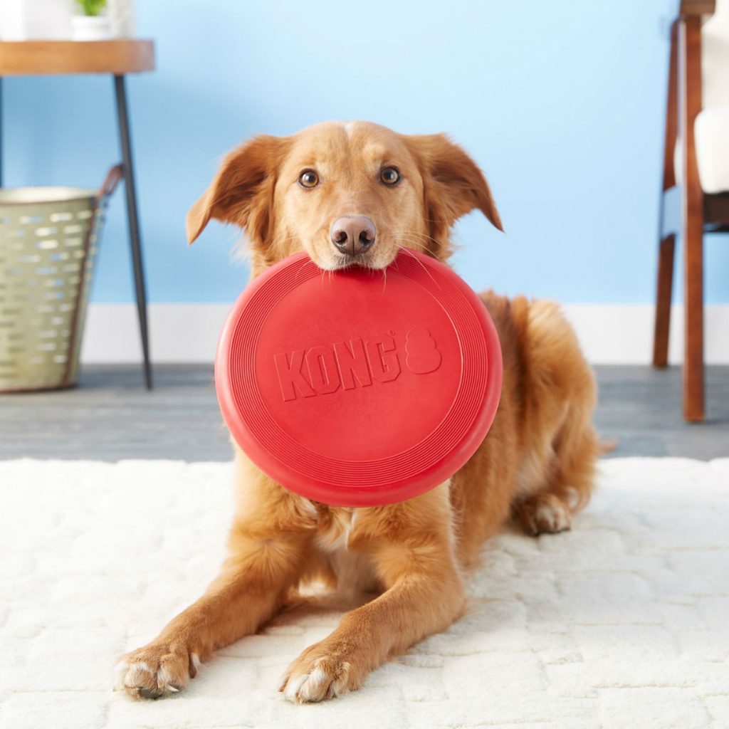 8 Super Tough Dog Toys for Power Chewers This Dogs Life