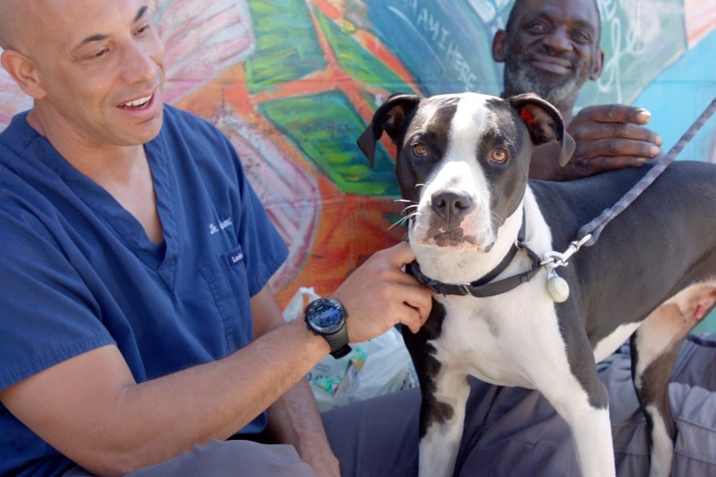 Meet the Vet Providing Free Medical Care to Homeless People’s Pets