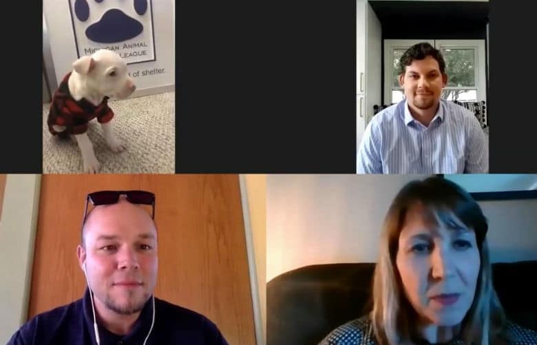 Adoptable dogs on video chats 1