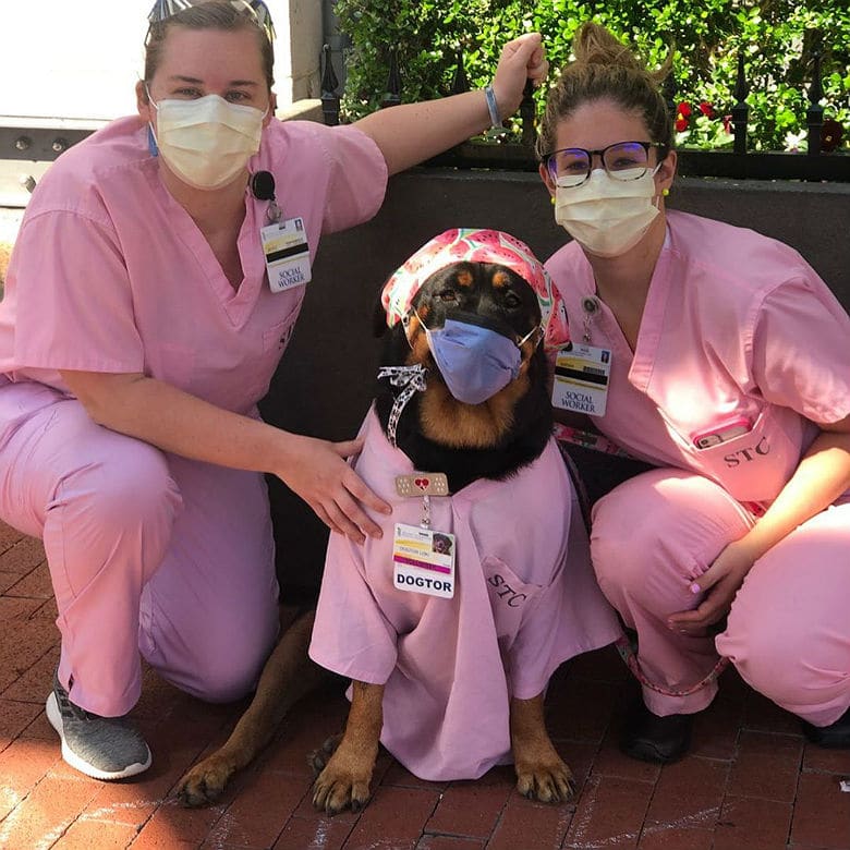 Dog Delights Medical Staff With Care Package Deliveries