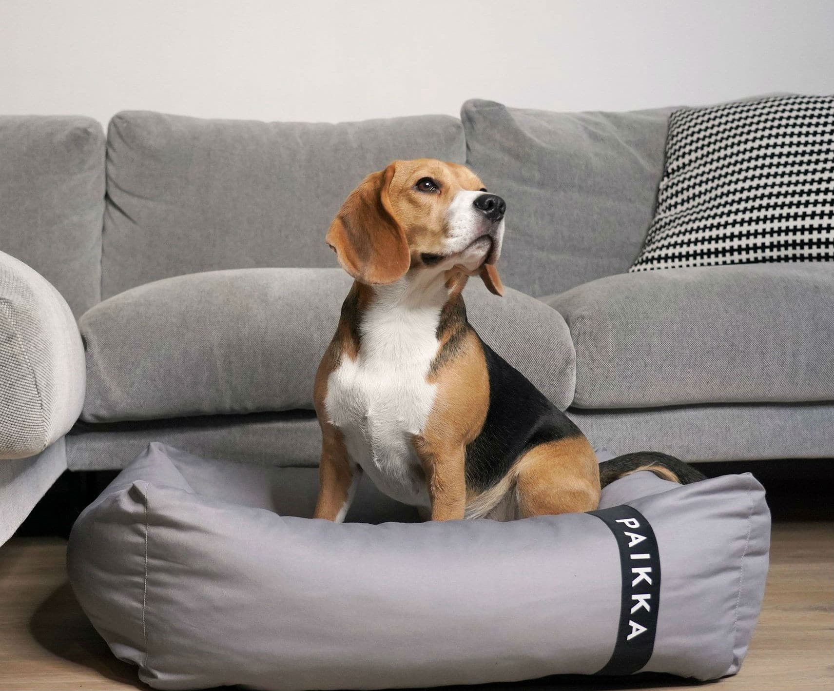 Paikka dog bed