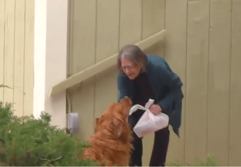 Woman Teaches Her Dog to Deliver Groceries to Neighbor in Quarantine