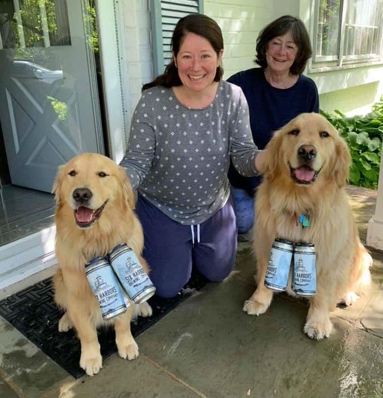 Three golden retrievers, known as the Brew Dogs, pose for a photo with their owners.