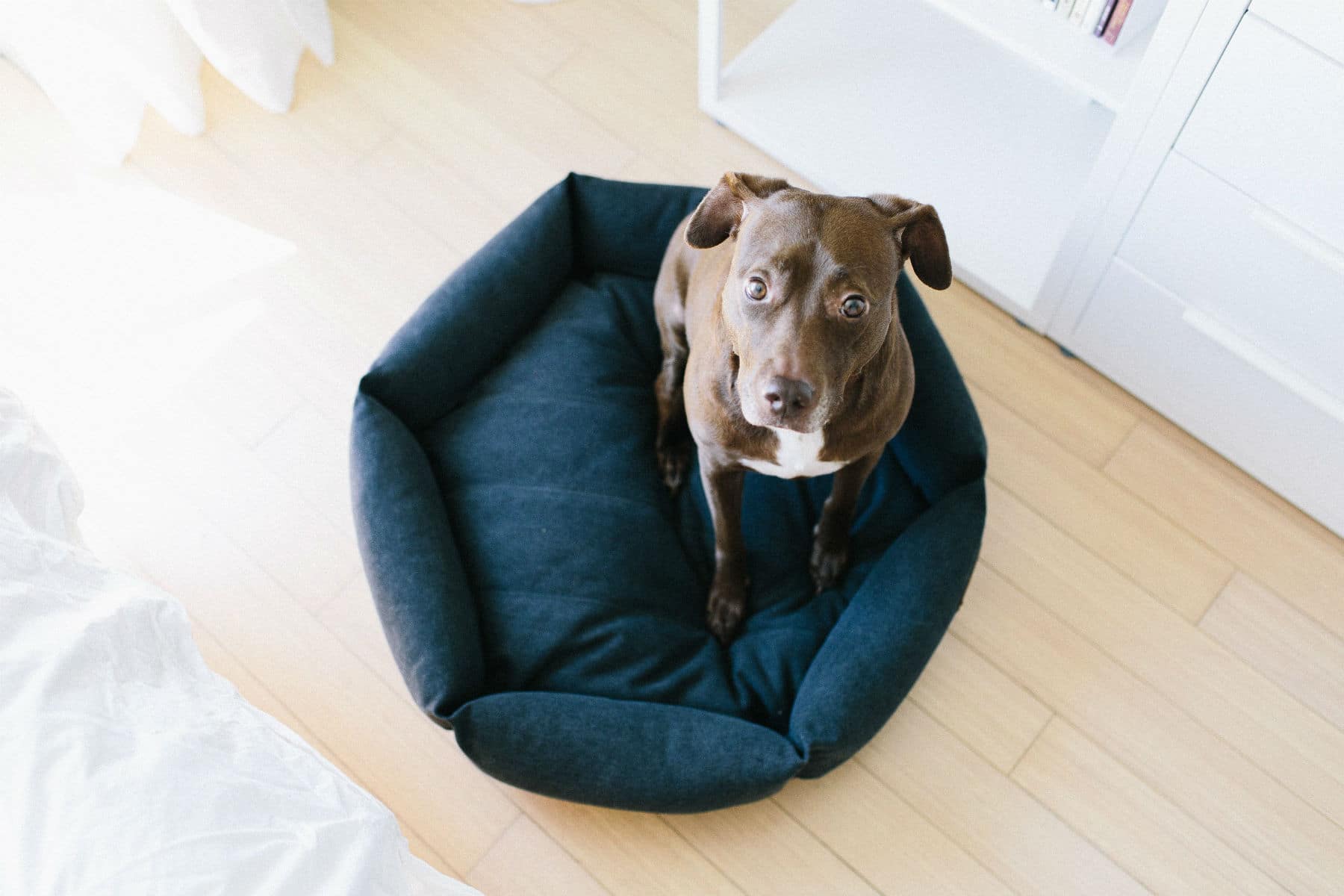 Velvet Hippo Hexagon Bed