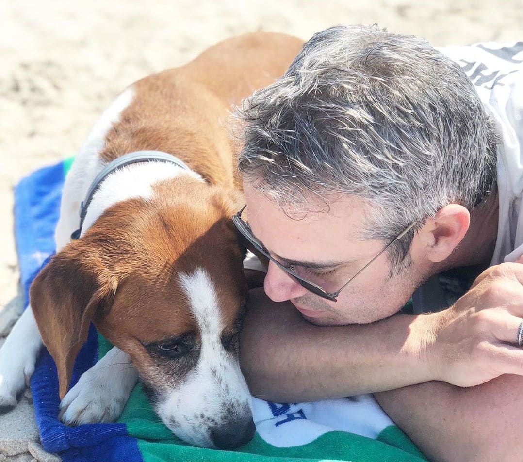 A man laying on the beach with a rescue dog.