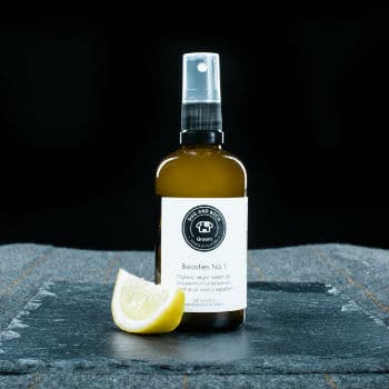 Natural bug repellent with neem peppermint lemon