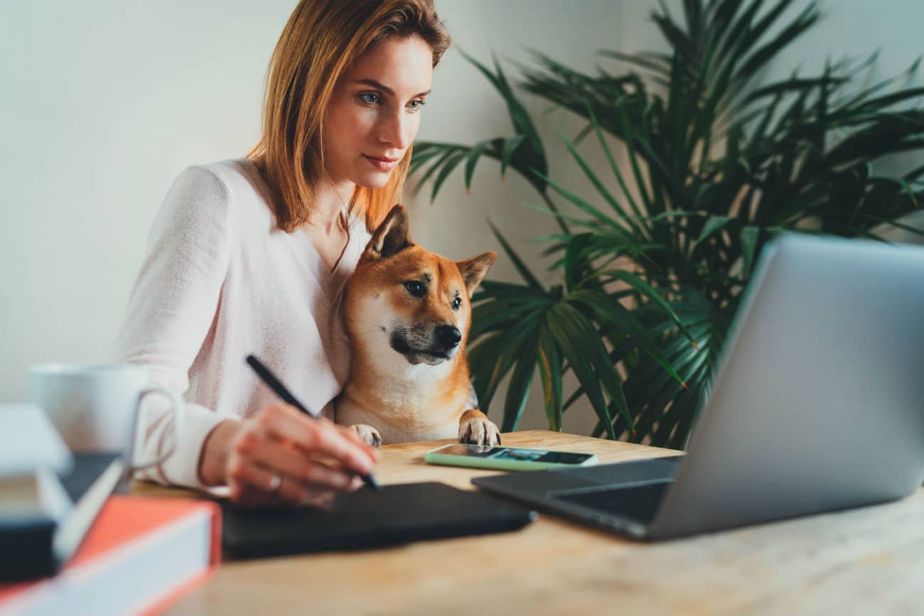 tele-medicine and virtual vet appointment