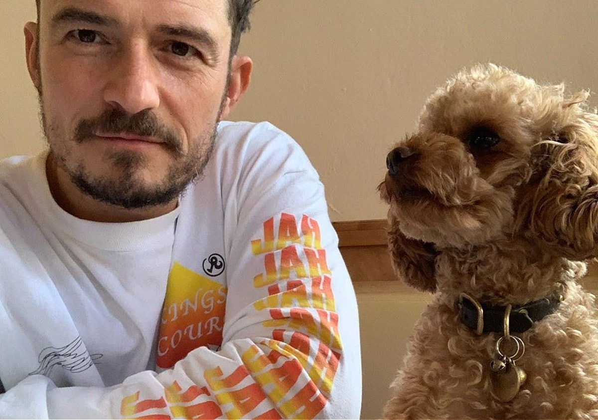 Orlando Bloom Says He's 'Broken Wide Open' as His Dog Has Remains Missing