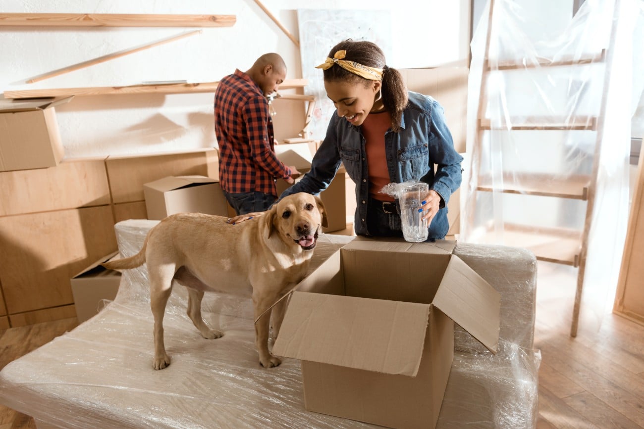 Moving Season: Here’s How to Help Your Dog Get Adjusted to a New Home