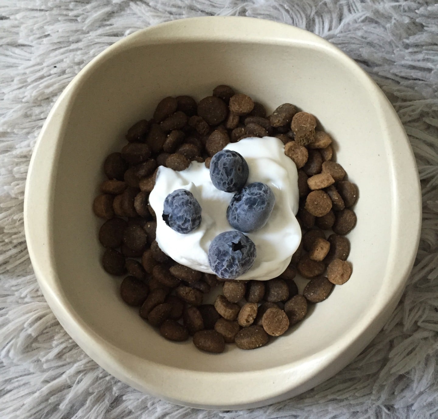 5 Dog Food Toppers To Help Boost Your Pup s Health This Dogs Life