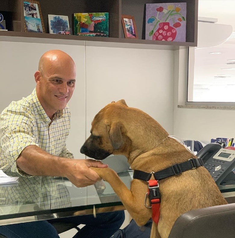 dog adopted by dealership