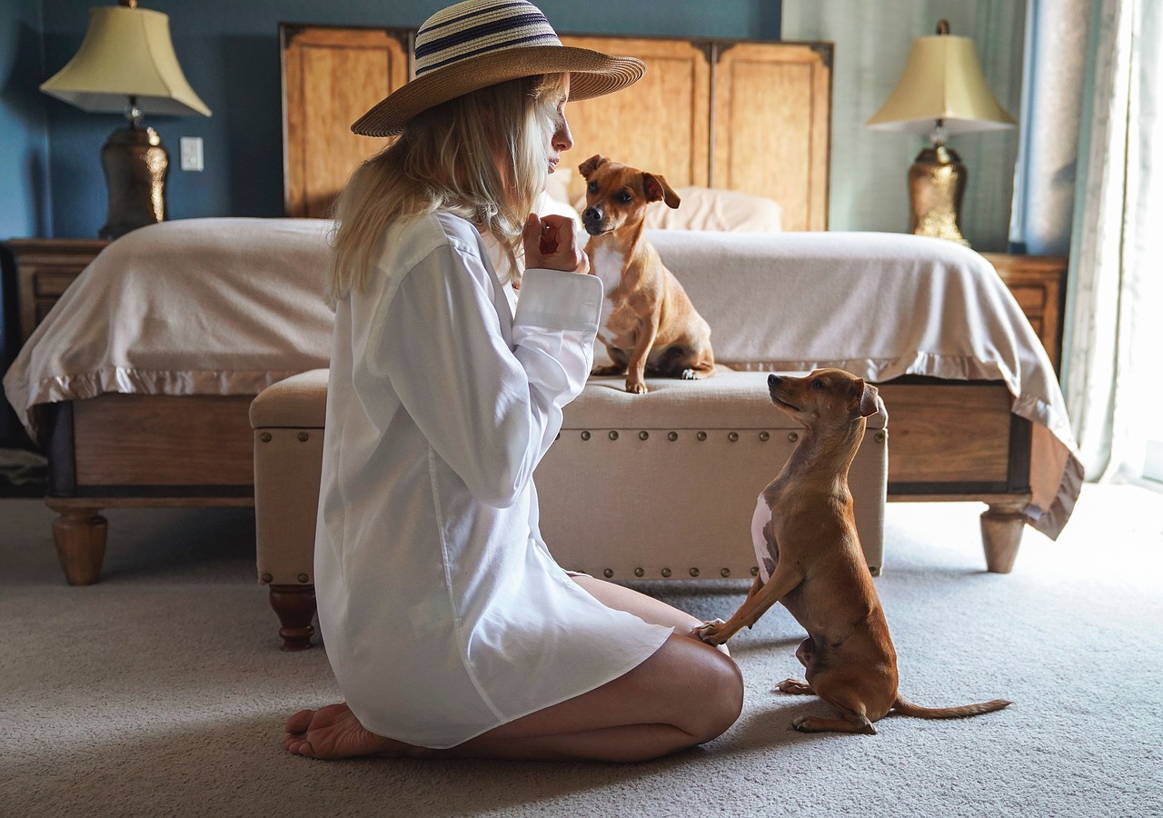 A woman sitting on the floor with two dogs, surrounded by must-have dog products.