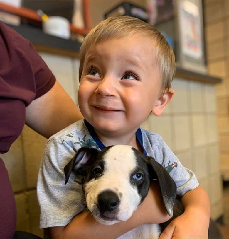 A young boy holding a puppy with a cleft lip in his arms, showcasing their instant bond.