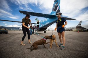 Two women pilots standing next to a plane with dogs on leashes for an Animal Rescue flight.