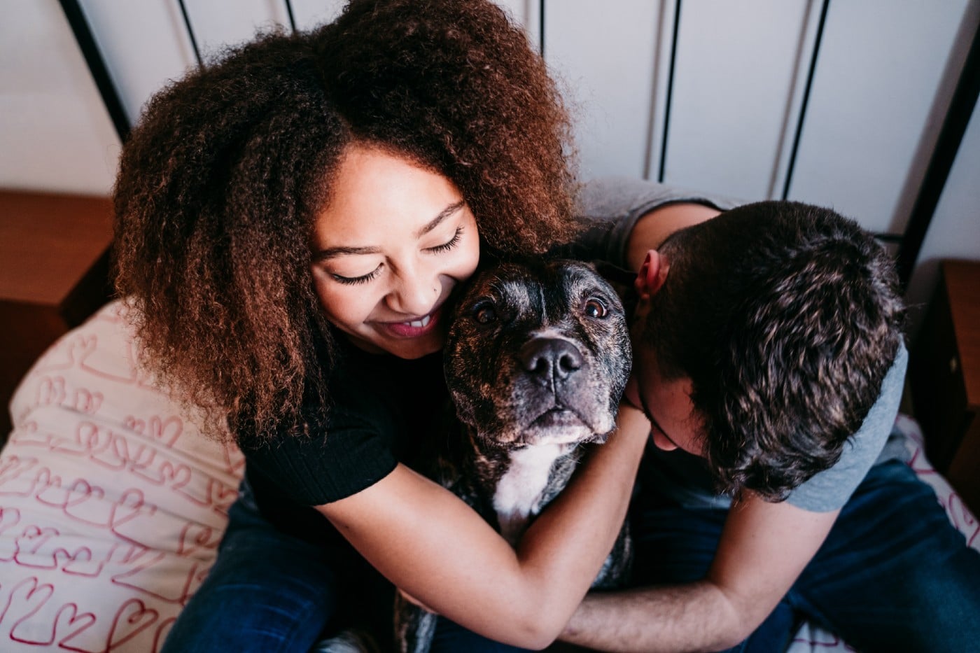 A man and woman hugging their best dog breed on a bed.