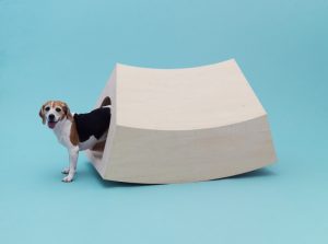 A dog is standing in front of a wooden dog house featured at an art exhibit.