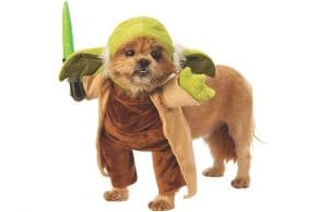 Baby Yoda dog halloween costume