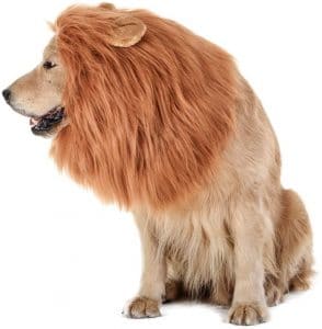 Lion Dog Halloween Costumes Joe Exotic the Lion