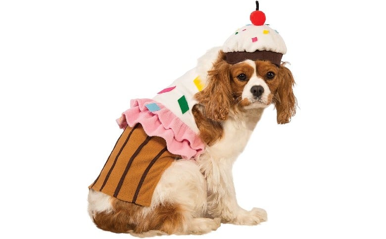 Everything is Cake dog halloween costume