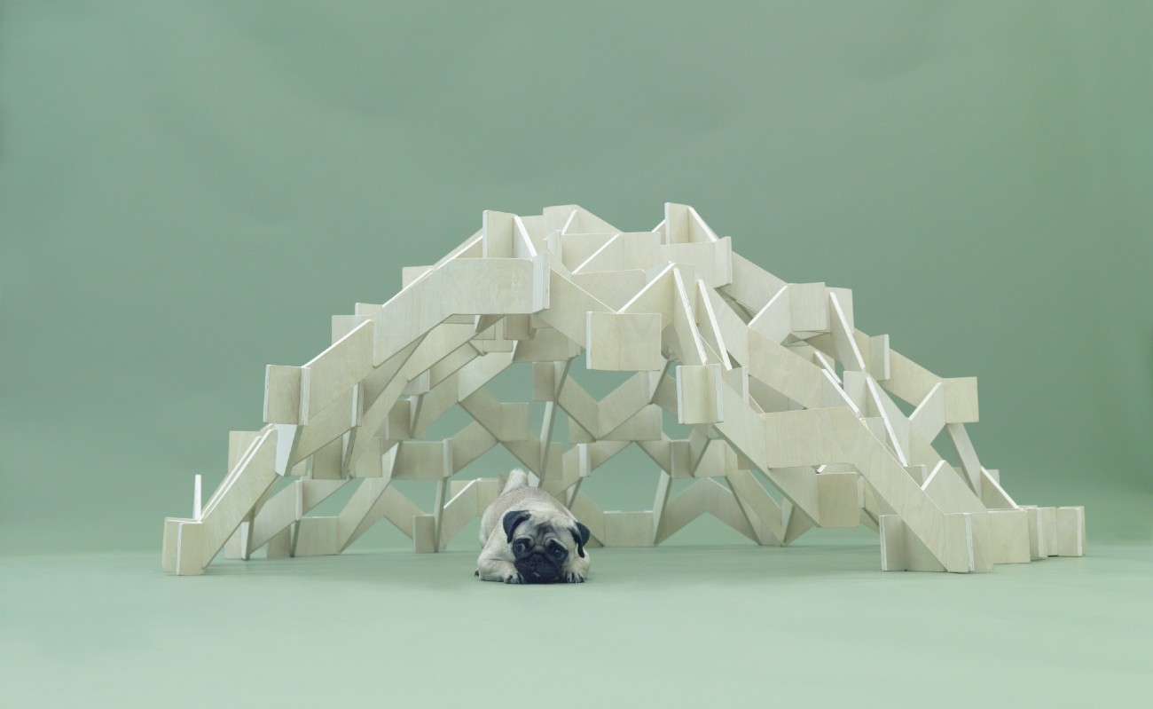 A dog is standing in front of a wooden dog house.