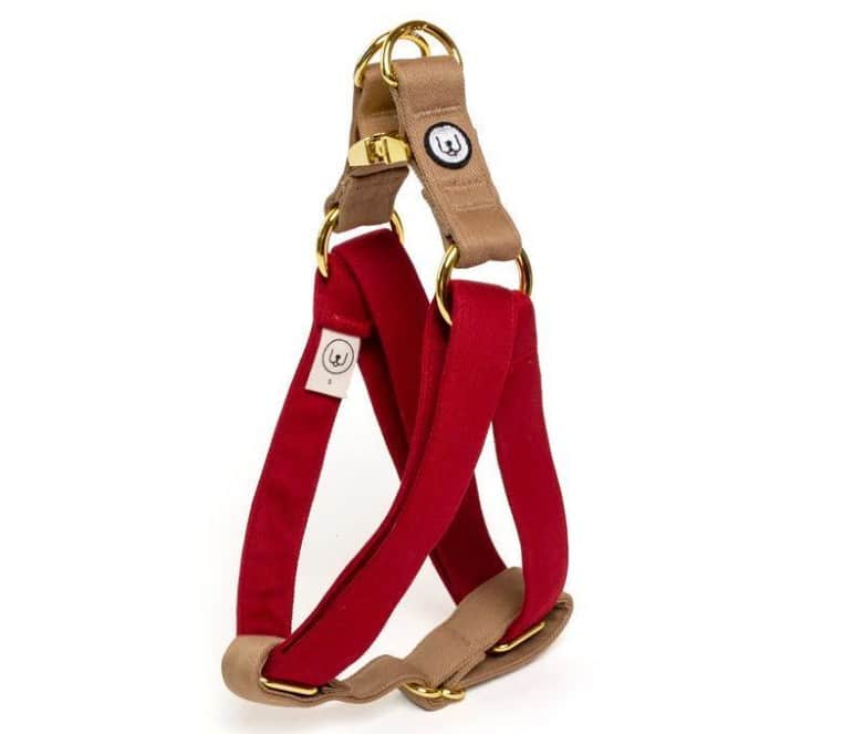 Two-Tone Canvas Easy Step-In Harness in Ruby Red and Latte Brown