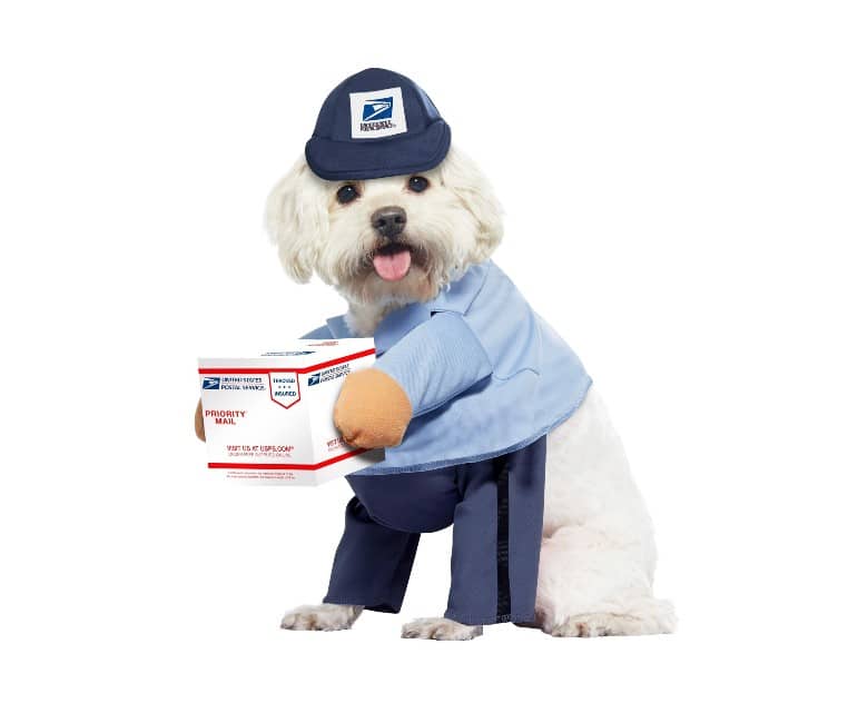 USPS Dog dog halloween costume