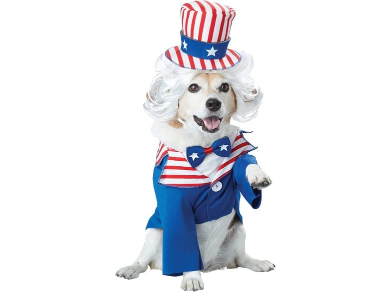 Uncle Sam Costume dog halloween costume (1)