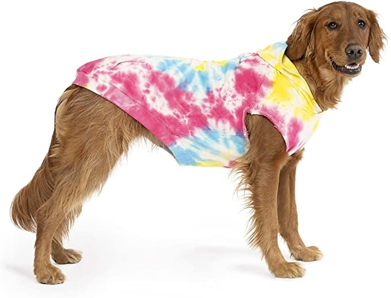 dog tie dye dog halloween costume