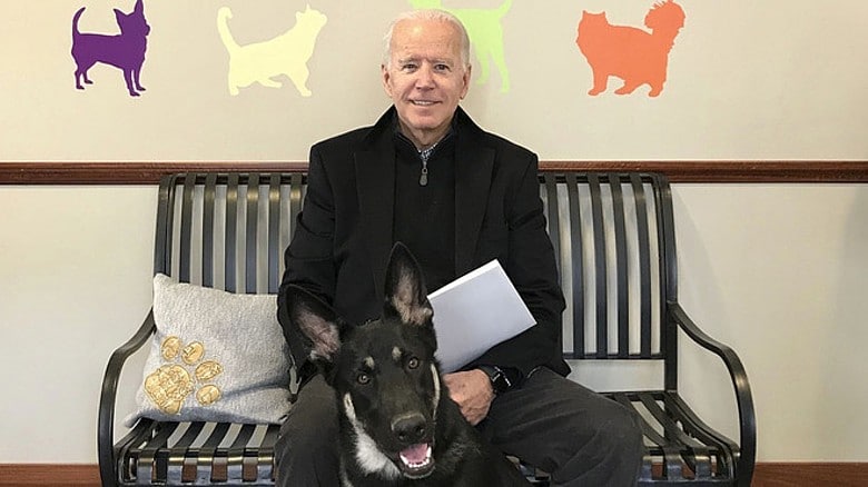 A man sitting on a bench with a shelter dog.