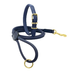 Navy Collar And Leash smaller Dogs and Horses