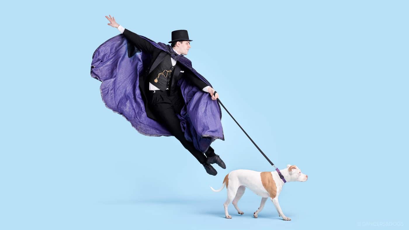 Featured Muttcracker Dancers & Dogs dogs dancing with ballet dancers This Dogs Life