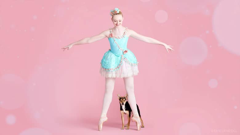 Muttcracker Dancers & Dogs dogs dancing with ballet dancers 4