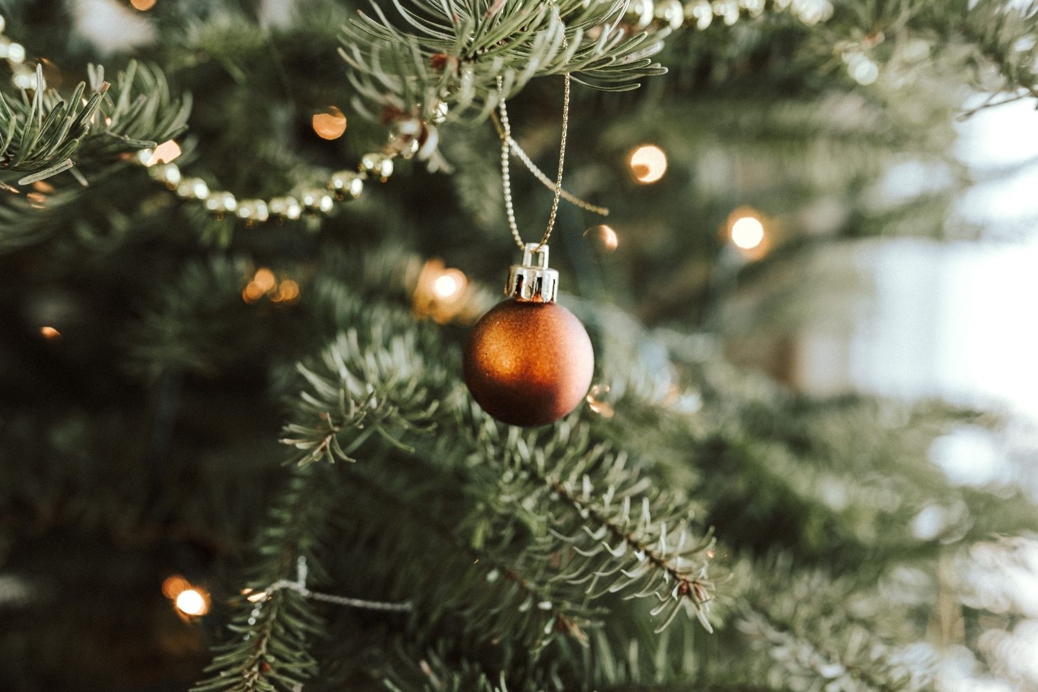 How to Dog-Proof Your Christmas Tree to Ensure Your Pup Has a Safe Holiday Season