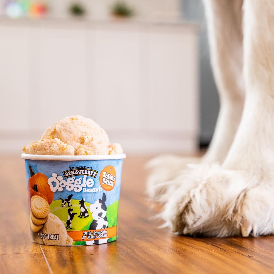 Ben & Jerry's Launches Dog-Friendly Ice Cream Line