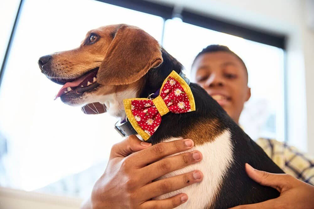 Meet the 14-Year-Old Making It His Mission to Help Shelter Dogs One Bow Tie at a Time