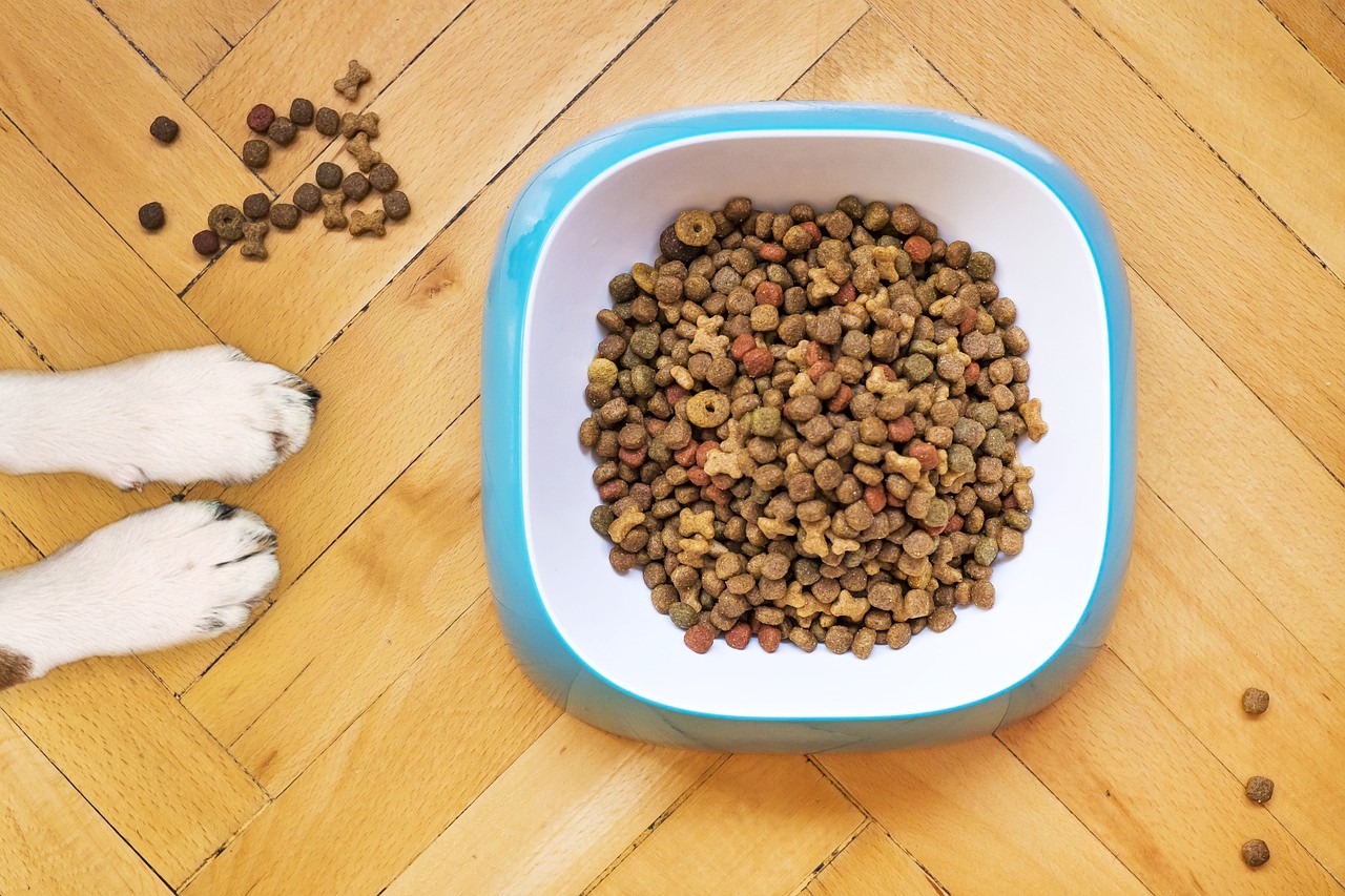 A dog eats recalled food from a bowl on a wooden floor.