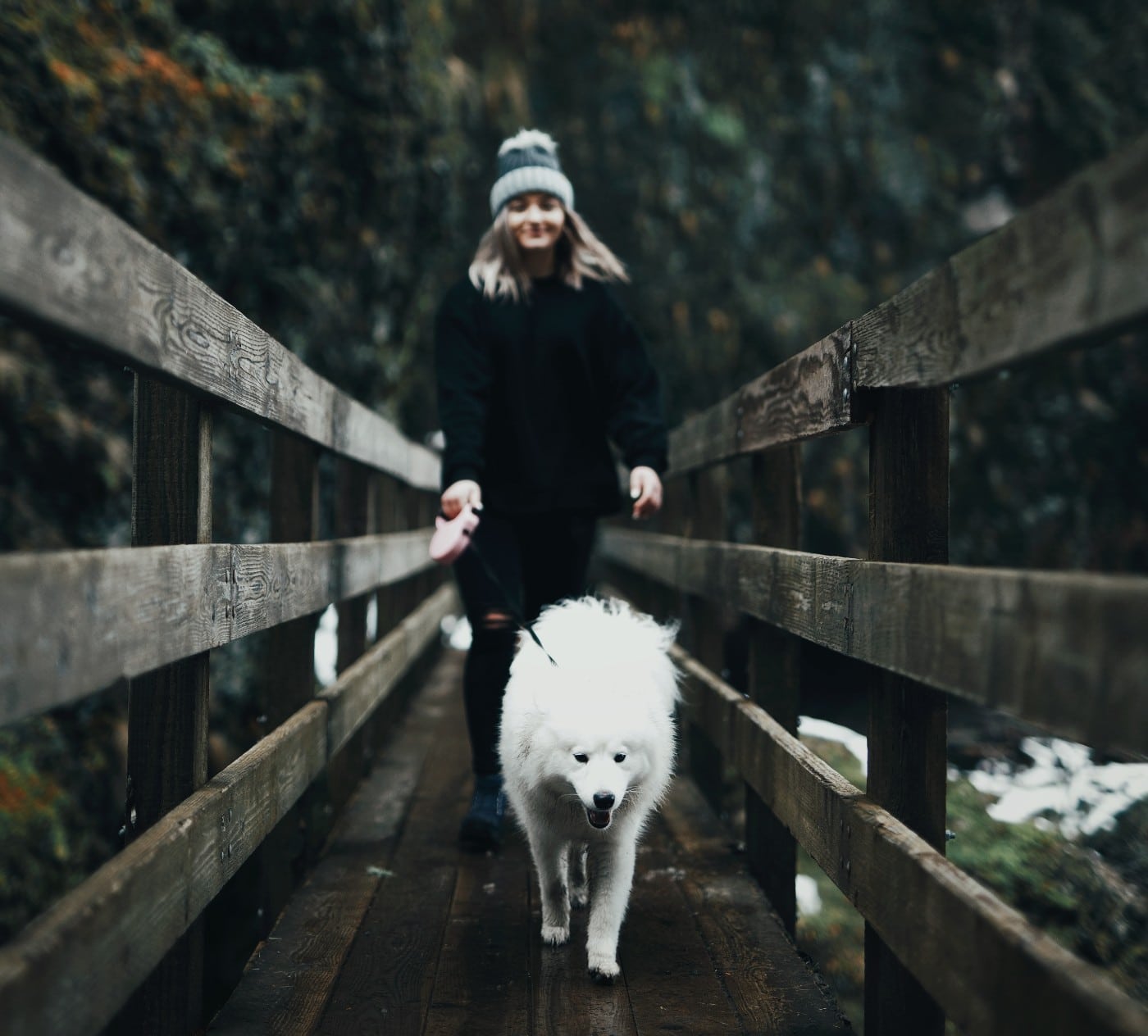 Man’s Best Friend No More? Study Reveals Dogs Share a Stronger Bond With Women.